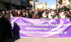 DEM Parti'den Nusaybin'de yürüyüş: "Kürt'ün kimliğinin tanınması bu kadar mı zorunuza gidiyor?"