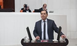 DEM Partili Olan, Güroymak’taki müdahaleyi Meclis gündemine taşıdı: Araştırma ve soru önergesi verdi