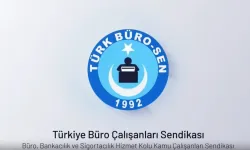 Türk Büro-Sen’den yolluk tavanına itiraz: “Saha rahatlatılmalı, gösterge iki katına çıkarılmalı”