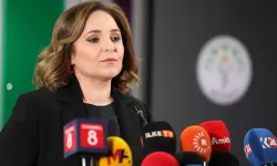 DEM Parti’den “İmralı’da konut yapıldı” iddiasına yanıt