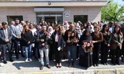 Rojwelat Kızmaz dosyası için yeni başvuru