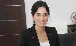 "AKP'li vekilin oğlu okula silahla geldi" iddiası: Başsavcılık yalanladı, haberi yapan gazeteci tutuklandı