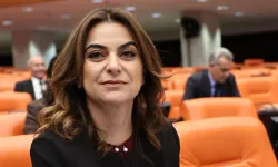 DEM Parti: Kod yasa için genel çerçeve Öcalan'la tartışıldı
