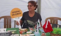 NATO Zirvesi operasyonunda tutuklanmıştı | TEMA gönüllüsü Ayten Yakut tahliye edildi