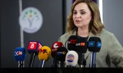 DEM Parti'den çerçeve yasa çağrısı: "Meclis kapanmadan çıkarılmalı"