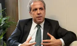 AKP’li Şamil Tayyar: 'DEM Parti zapturapt altına alınmalı'