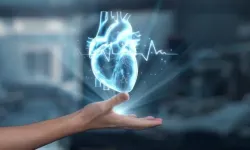 Kalp krizi bir anda mı gelir? Yeni araştırma dikkat çekti: Vücut yıllar öncesinden sinyal verebilir