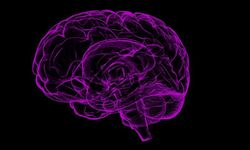 Epilepsi hastalarına nöbet uyarısı: Nöbet sırasında bu hataları yapmayın