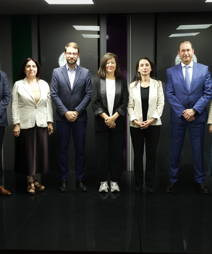 AKPM Avrupa Birleşik Sol Grubu heyeti, DEM Parti Eş Genel Başkanı Hatimoğulları'nı ziyaret etti