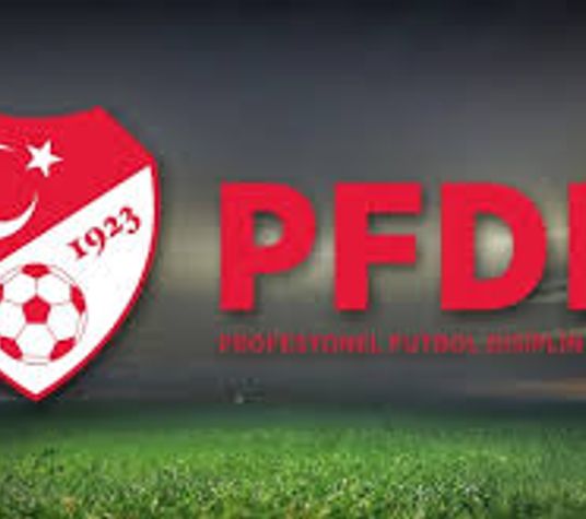 PFDK'den Necip ve Ersin kararı