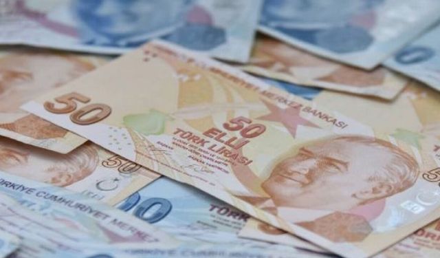 ENAG Aralık ayı enflasyon oranını açıkladı: ENAG ile TÜİK arasındaki enflasyon farkı dikkat çekiyor