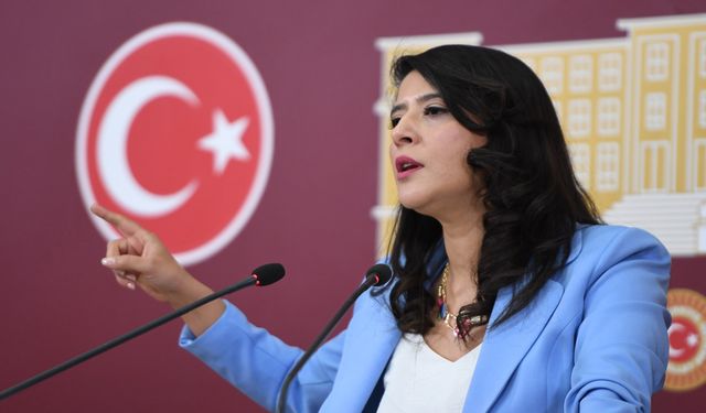 Depremin 3. yılında eğitim hâlâ enkaz altında | EMEP’li Karaca’dan ücretsiz yemek ve okul sorusu