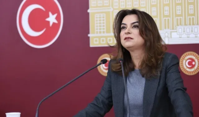 Gülistan Kılıç Koçyiğit: Sürecin ilerlemesi için tecridin kalkması gerekiyor