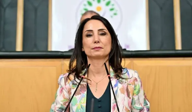 Hatimoğulları’ndan Ahmet Özer tepkisi: Kürtlerin batıda temsil edilmesi suç sayılmak istenmektedir