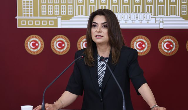 DEM Partili Koçyiğit'ten, 'Bahçeli'ye darbe olur' iddialarına yanıt