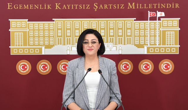 Hakkâri’de eğitim sorunları TBMM gündeminde: DEM Partili Bartın’dan Meclis araştırması talebi