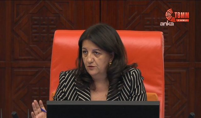 DEM Partili Pervin Buldan: Abdullah Öcalan, Silahsızlanma ve Siyasallaşma Alt Kurulu'nda görev alacak