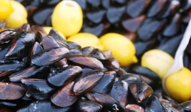 Midye yiyen 4 kişi hastaneye kaldırıldı