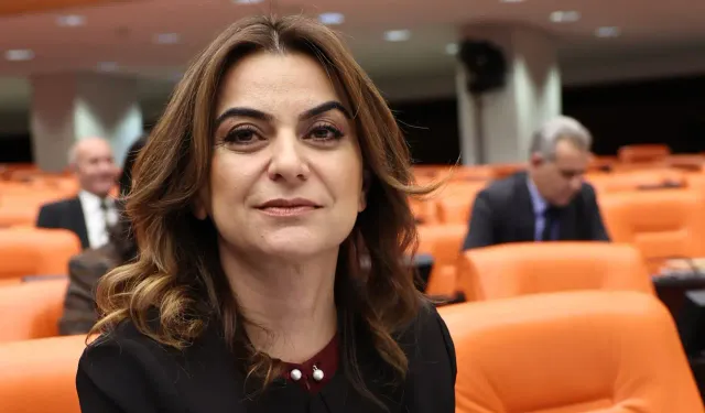DEM Parti: Kod yasa için genel çerçeve Öcalan'la tartışıldı