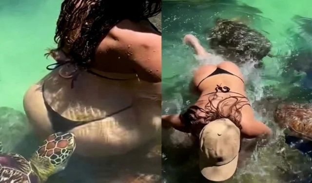 Zanzibar tatilinde korkulu dolu anlar: Deniz kaplumbağası Cynthia Benitez’e saldırdı