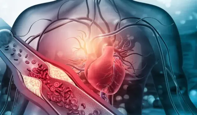 LDL kolesterolü yükselten 6 beslenme hatası