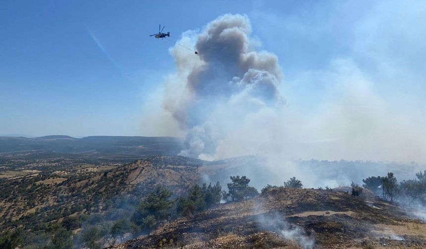 Çanakkale'de orman yangını: Boşaltılan köy sayısı 3'e çıktı