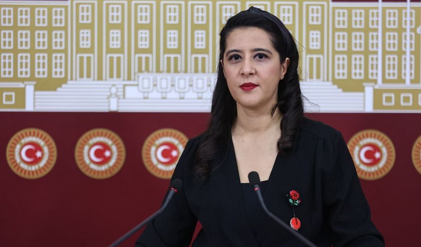 EMEP'li Karaca: Kürt sorununun çözümü somut adımlarla mümkün