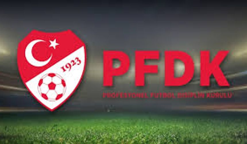 PFDK'den Necip ve Ersin kararı