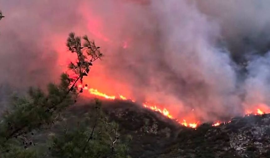 Antalya Kaş'ta orman yangını: Havadan ve karadan müdahale sürüyor