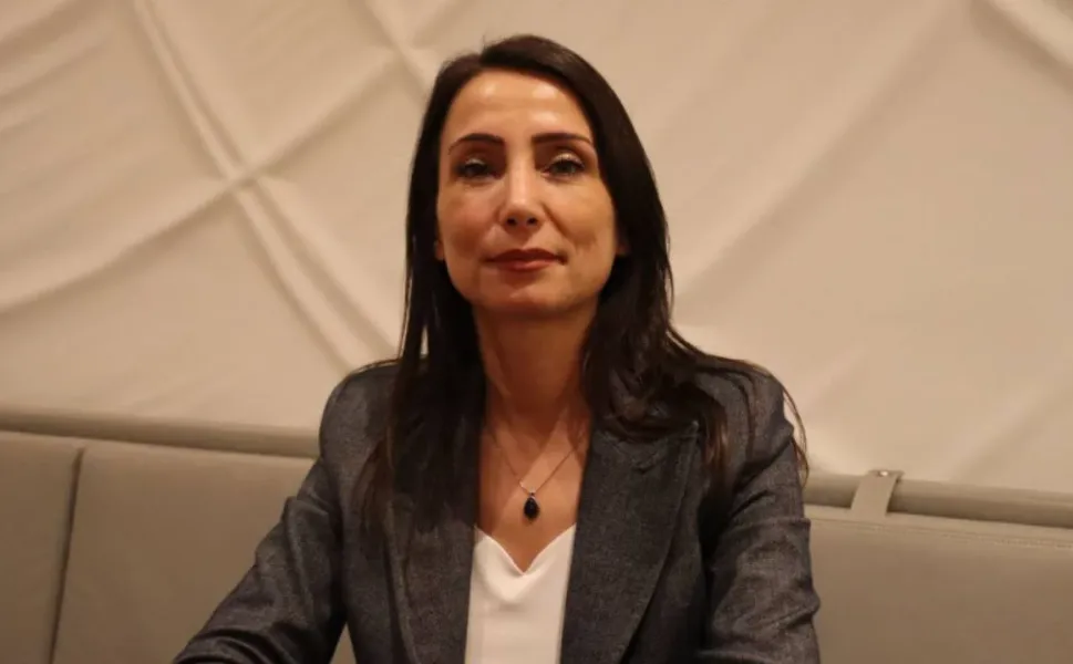 Hatimoğulları: PKK'nin attığı adımların ardından devlet de sorumluluk üstlenmeli