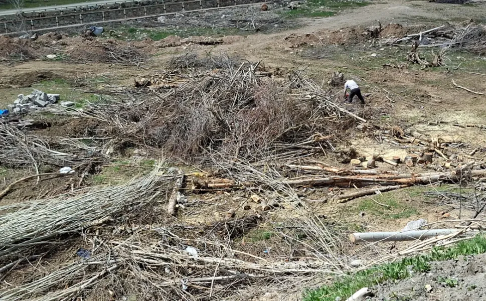 Malatya'da kamulaştırma davası sürerken ağaçları söküldü, EMEP İlçe Başkanı darp edildi