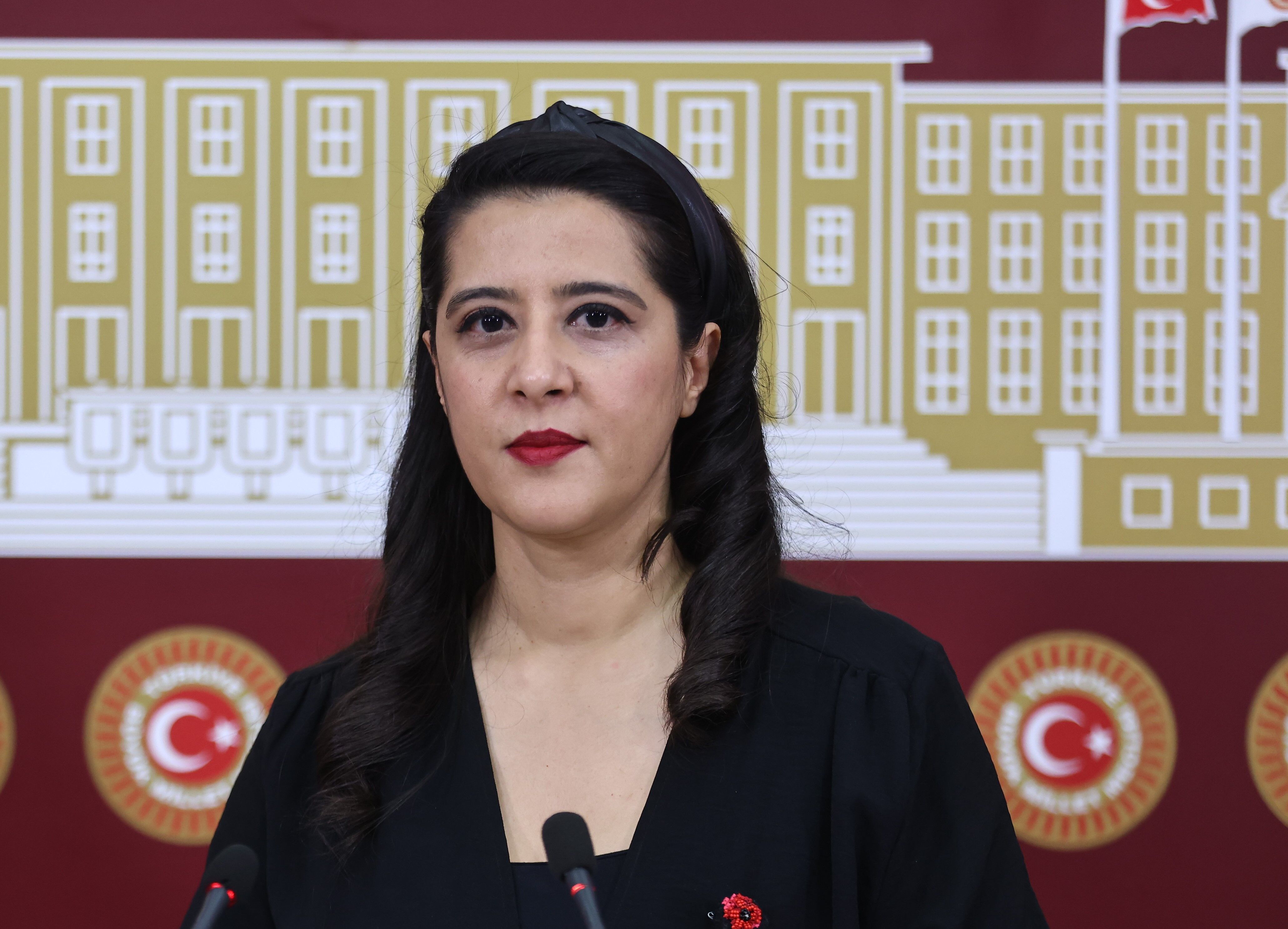 Geçinemeyen 3 çocuk babası Valiliğe “ötanazi” başvurusu yaptı: Sevda Karaca Meclis’e taşıdı